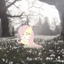 Flutter hideout