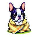 lenapals Discord server avatar