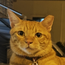 RaishloK Discord server icon