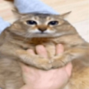 EverSouls Discord Server Discord server icon