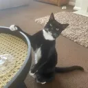 Spirit’s Play Server Discord server icon