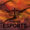 PHOENIX ESPORTS ™