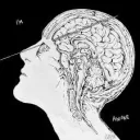 /lobotomy