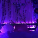 Moody Paradise • VC • Hangout • Games's icon