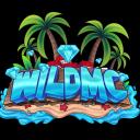WildMC | Network icon