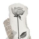 ⋮ 📜 ⋮ Random Pngs ! Discord server icon