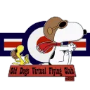 Old Dogs Virtual Flying Club