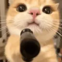 🐒 𝐙𝐎𝐍𝐀 𝐙