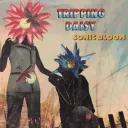 Sonic bloom ☆