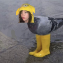 Unclingdom icon