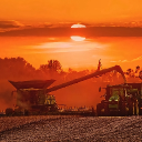 KING FARMING icon