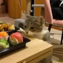 Swishy's Sushi Bar