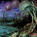 Mango Male Podcast Discord server icon