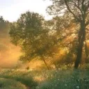 Broken Bonds (Mythology based rp!)