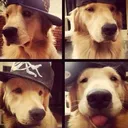 swag 18+