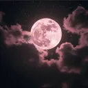 ୨୧ Pink Moon Society ୨୧ REVAMP discord icon