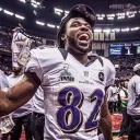 Ravens