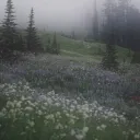 @ᴄᴏʟᴅ ᴍᴏᴅs
