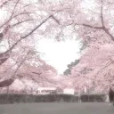𝒜𝓃𝑔ℯ𝓁𝓈 ໒꒱ ‧₊˚ .