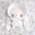 ⑅ ݂ angely ૮ ․ ․ ྀིა 𓈒 ݂ guilds ݂ social 𓈒 ݂ giveaways ݂ decor ݁ 𓈒♡