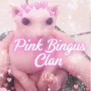 ・ Bingus clan ・chatting ・hangout ・