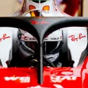 Halo Racing League