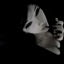Angel's       ⋆˚𝜗𝜚˚⋆