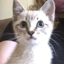 skyes actual real life house where she lives