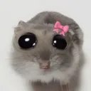 🍥⟆ ℝ𝒶𝓉𝑜𝓃𝒸𝒾𝓉𝑜𝓈 𝒢𝒶𝓂𝑒 ⟆🍥