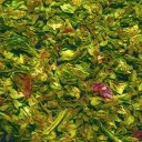 🌿Truphle Buds☁ server icon