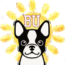 Terrier Hub (Boston University Server)
