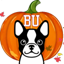Terrier Hub (Boston University Server) Discord Server Icon
