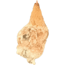 Kookri Discord server icon