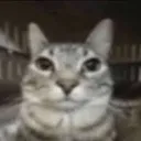 Chatzone music X gaming discord icon