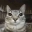 Chatzone music X gaming discord icon