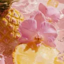 🌼 𝓣ropical 𝓢isters 🌸