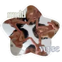 𝜗𝜚 ℳ𝘶𝘭𝘵1𝘷𝘦𝘳𝘴𝘦 : #1VERSE