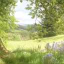 ~*• Serenity •*~ Discord server icon