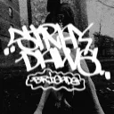 STRAY DAWG BRIGADE