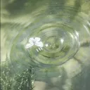 ꧁ ༺GreenBell༻ ꧂ Banner