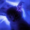 ☆₍^. .^₎⟆☆