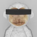 [DEV] Jujitsu Gorilla's