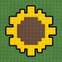 Grow a sunflower