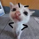 Glykks' happy place