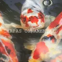 Cᴀʀᴘᴀꜱ Oʀɴᴀᴍᴇɴᴛᴀɪꜱ🎏 discord icon