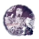 ˚  ˖ 🍇 / Tupelo Ი𐑼