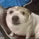 PST Backup