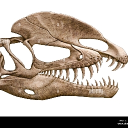 Jurassic Club V2 Discord server icon