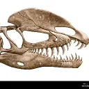 Jurassic Club V2