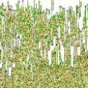 ABOSUTELY NORMAL SERVER Discord server icon